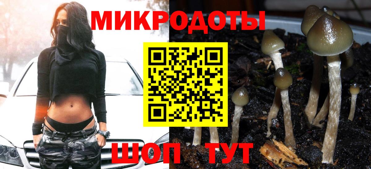 Саяногорск  Псилоцибиновые грибы GOLDEN TEACHER  Вход с VPN  Галлюциногенные грибы GOLDEN TEACHER 